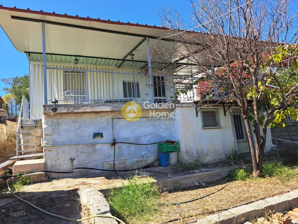 Detached house 38m²  - 3