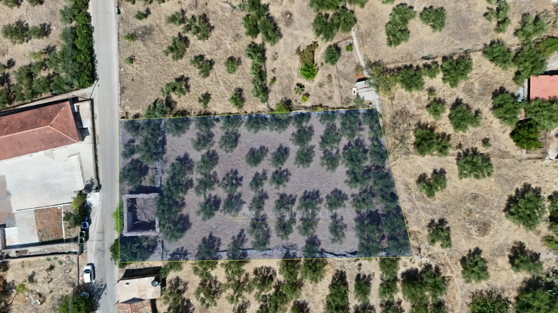 Plot 1558m²  - 2