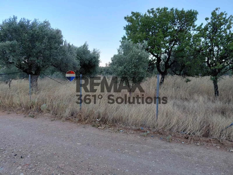 Land Parcel 3000m²  - 2