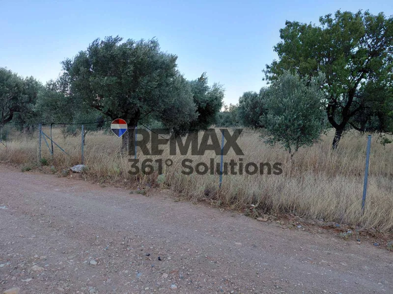 Land Parcel 3000m²  - 3