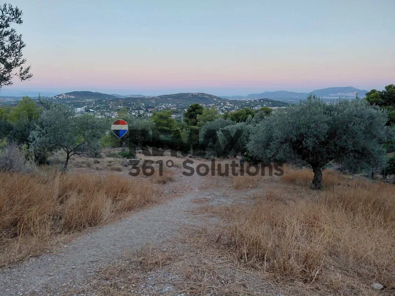 Land Parcel 4200m²  - 3