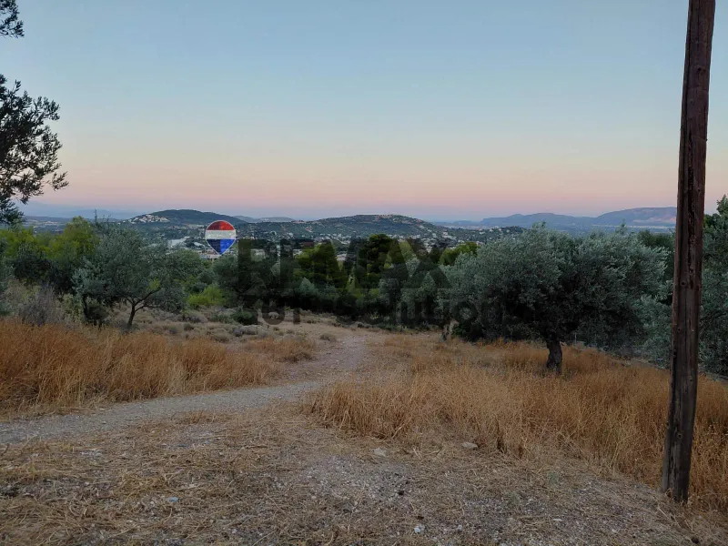 Land Parcel 4200m²  - 4