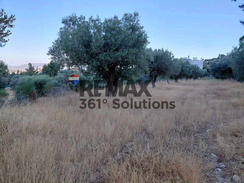 Land Parcel 1900m²  - 2