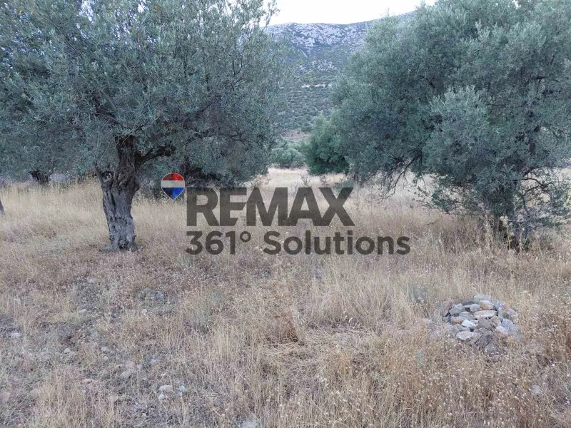 Land Parcel 1900m²  - 3