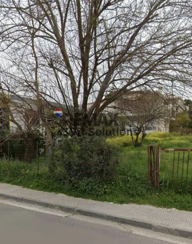 Plot 778m²  - 3