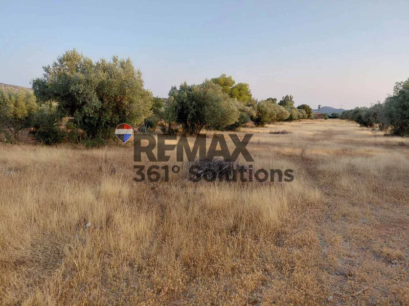 Land Parcel 9623m²  - 2