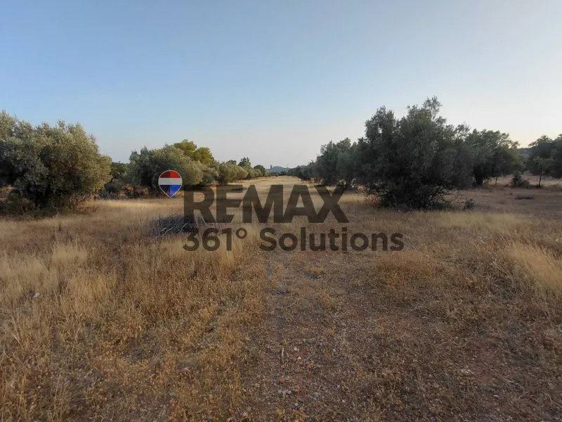 Land Parcel 9623m²  - 4