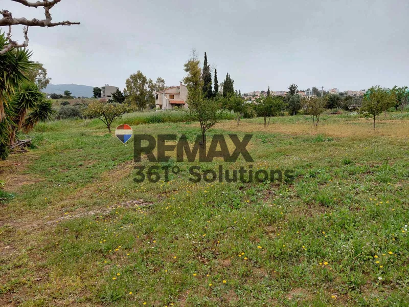 Plot 804m²  - 4