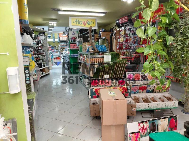 Business 1700m²  - 5