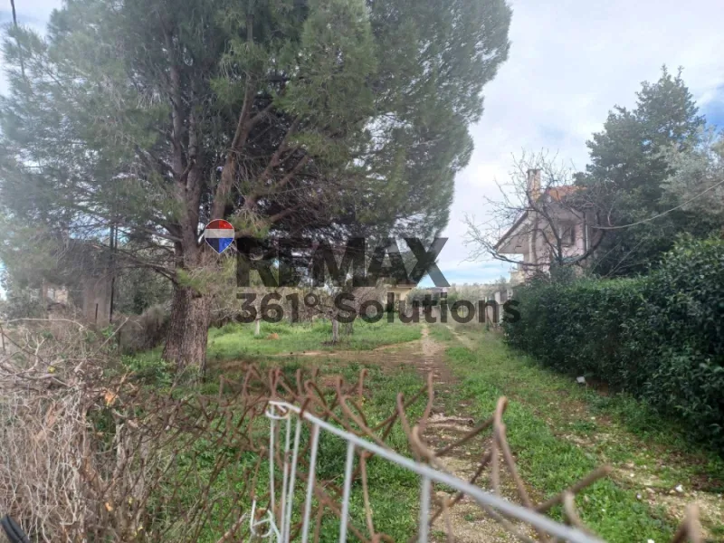 Plot 636m²  - 4