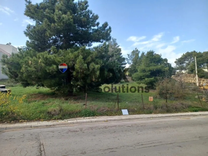Plot 1530m²  - 3