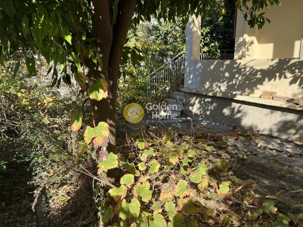 Άλλο..  216τ.μ.  - 4