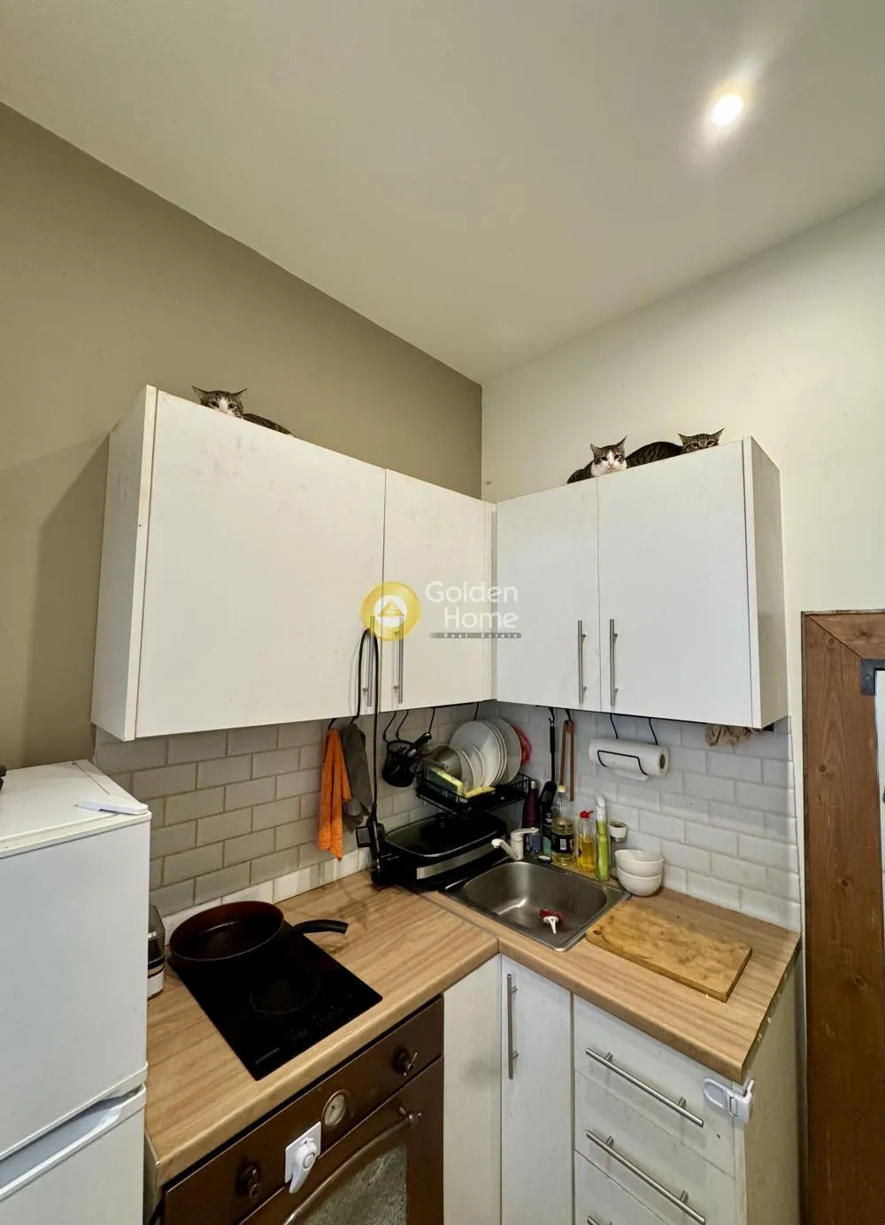 Apartment 45m²  - 5