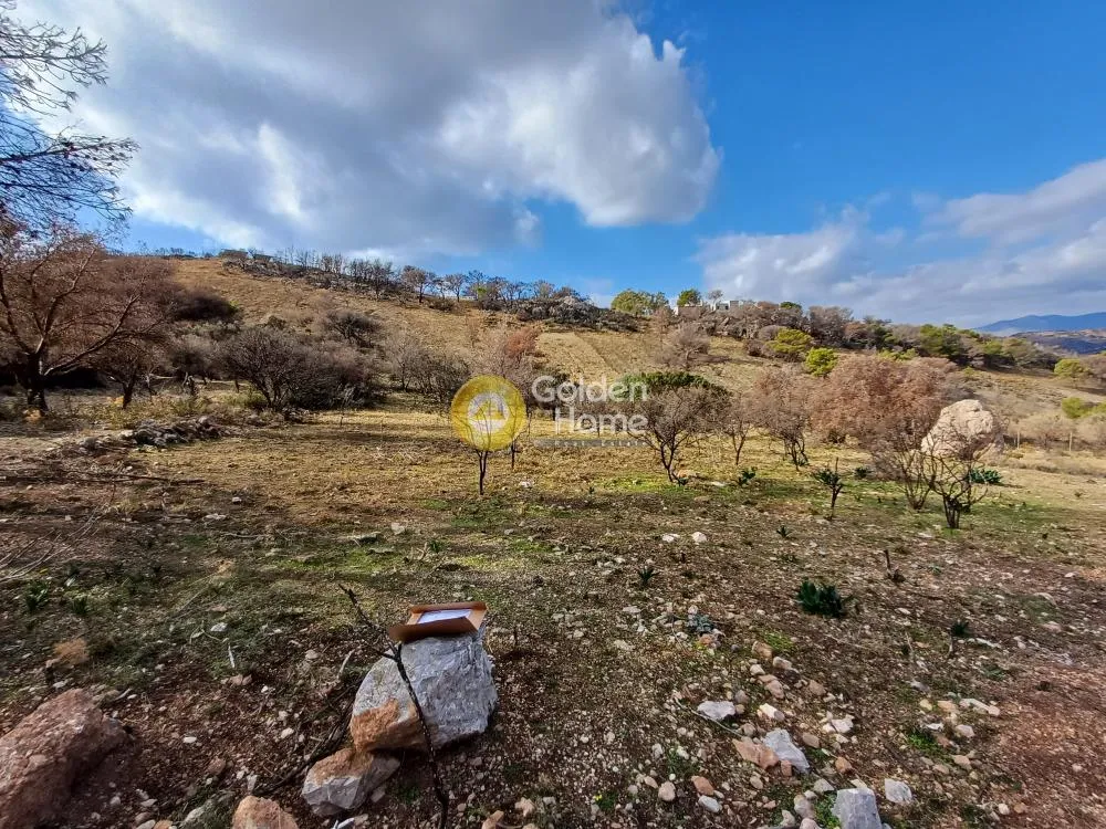 Land Parcel 4078m²  - 3