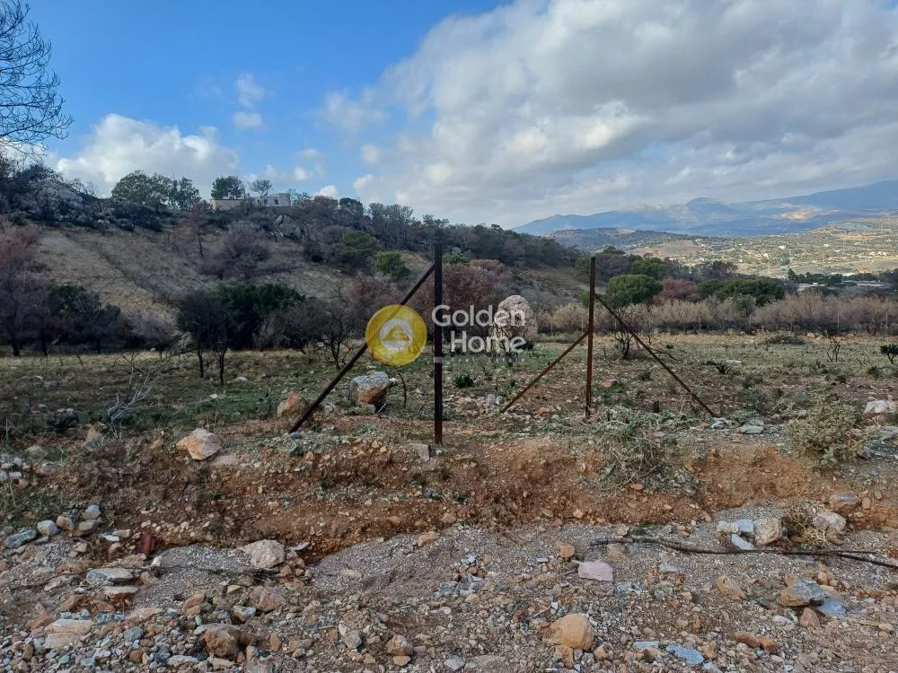 Land Parcel 4078m²  - 5