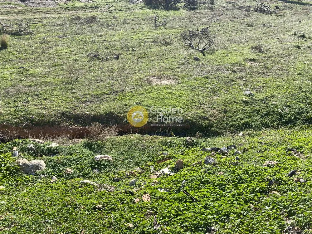 Land Parcel 13000m²  - 2
