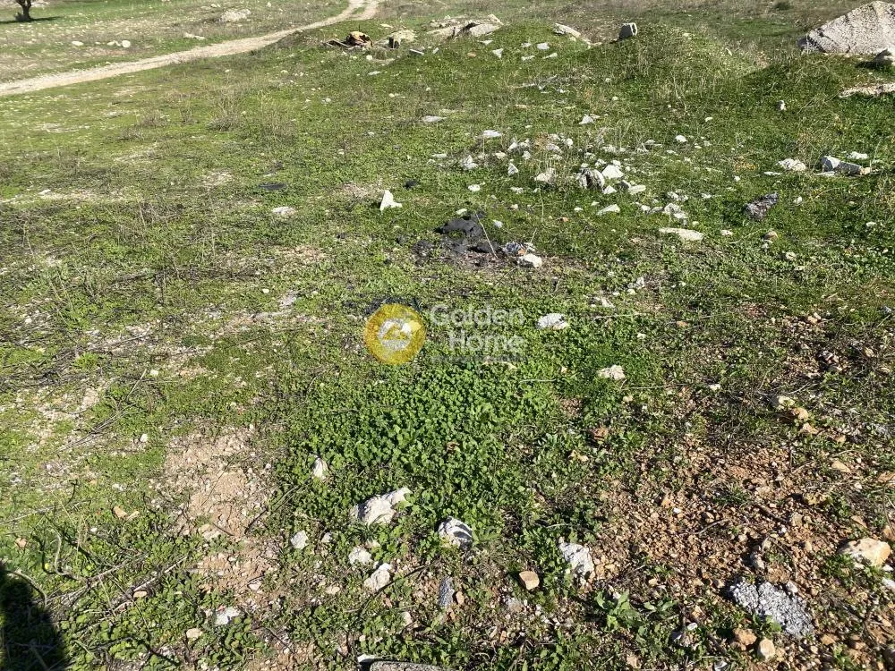 Land Parcel 13000m²  - 3