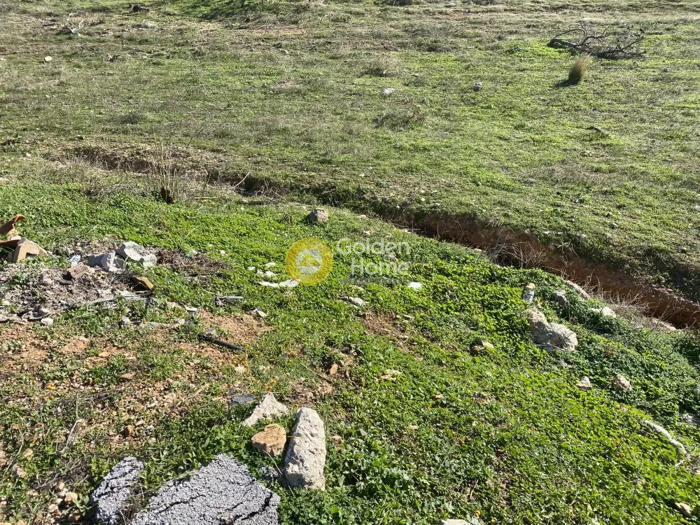 Land Parcel 13000m²  - 5