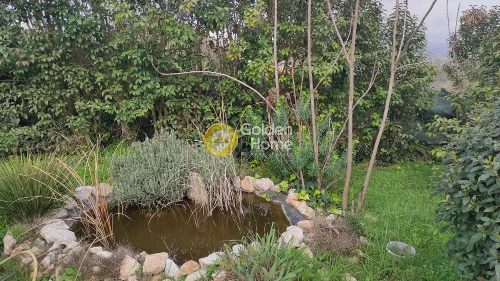 Detached house 416m²  - 3