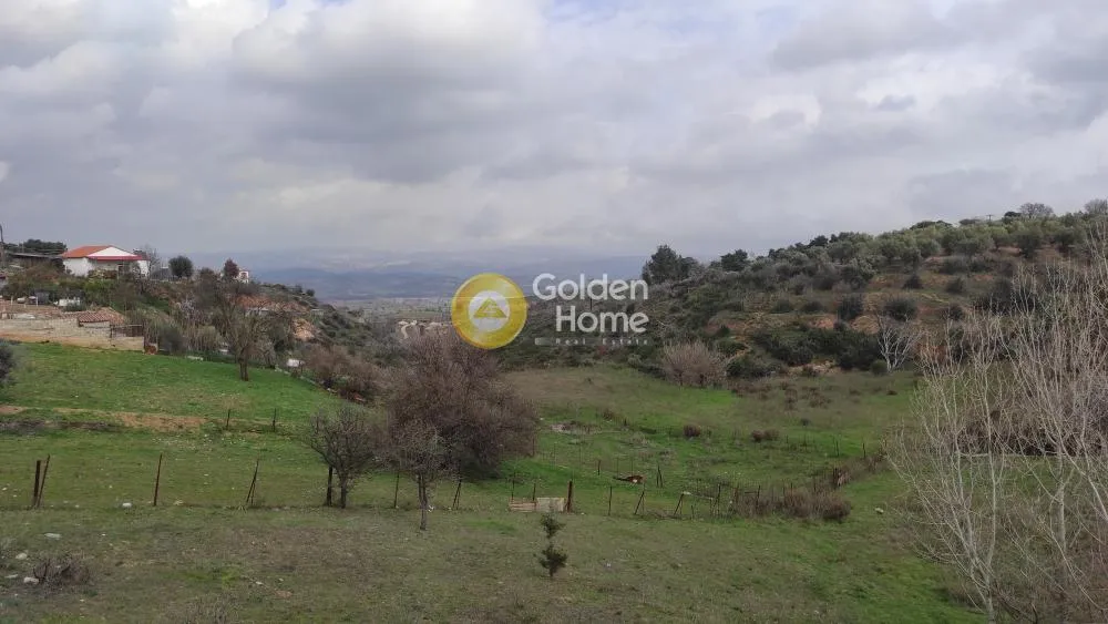 Detached house 416m²  - 5