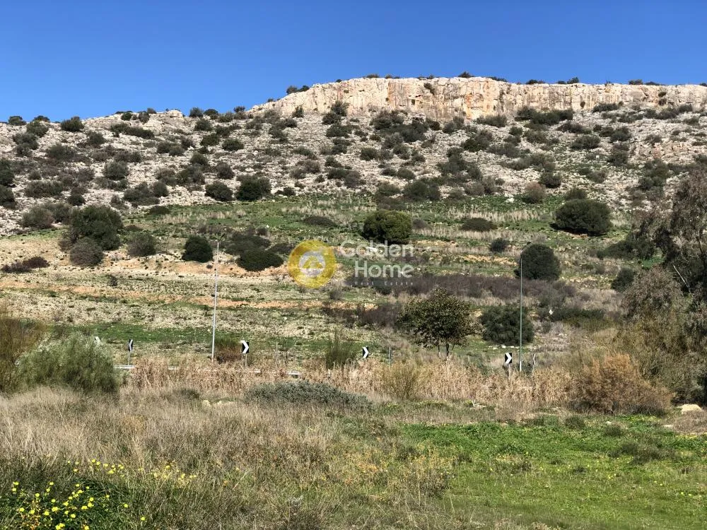 Αγροτεμάχιο 6500τ.μ.  - 2