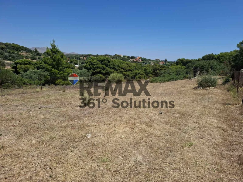 Land Parcel 826m²  - 2