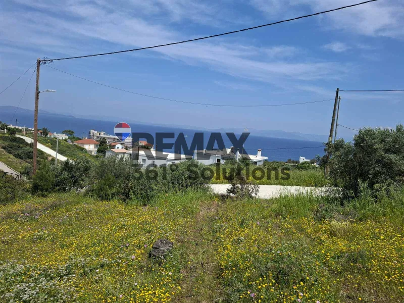 Οικόπεδο 646τ.μ.  - 2