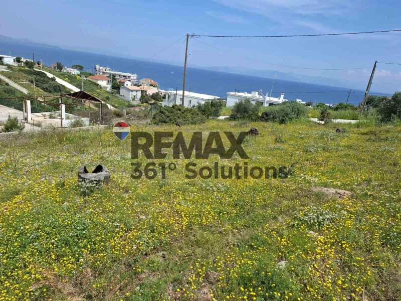 Οικόπεδο 646τ.μ.  - 3