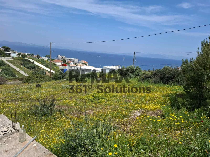 Οικόπεδο 646τ.μ.  - 5