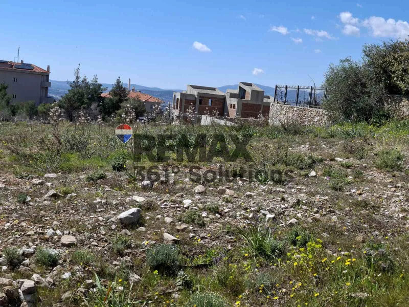 Οικόπεδο 2003τ.μ.  - 5