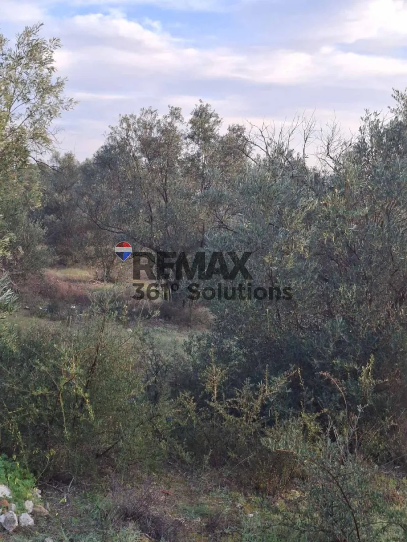 Αγροτεμάχιο 3181τ.μ.  - 5