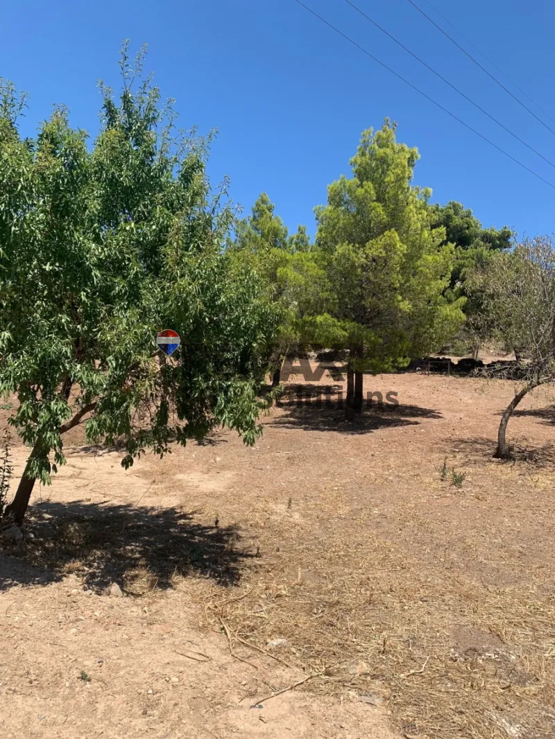 Οικόπεδο 4140τ.μ.  - 3