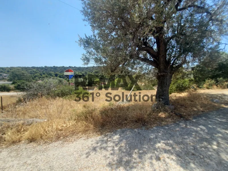 Οικόπεδο 784τ.μ.  - 2