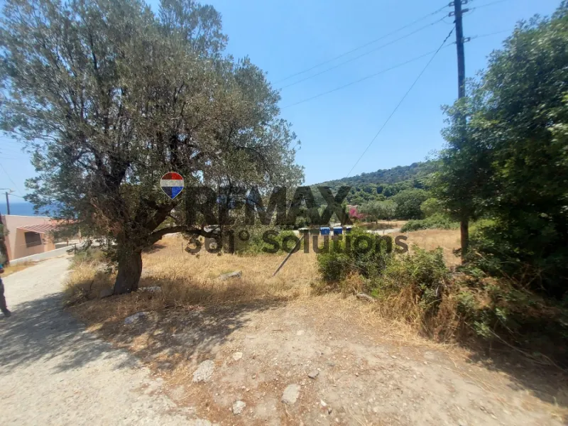 Οικόπεδο 784τ.μ.  - 3