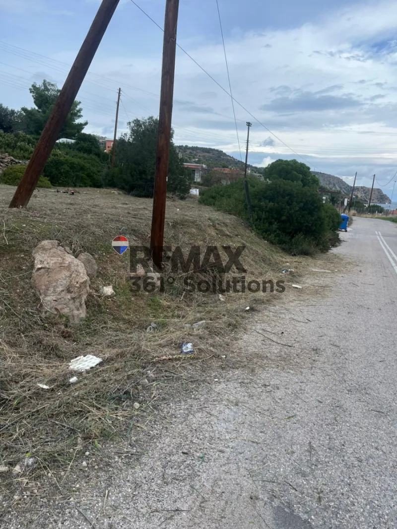Οικόπεδο 784τ.μ.  - 5