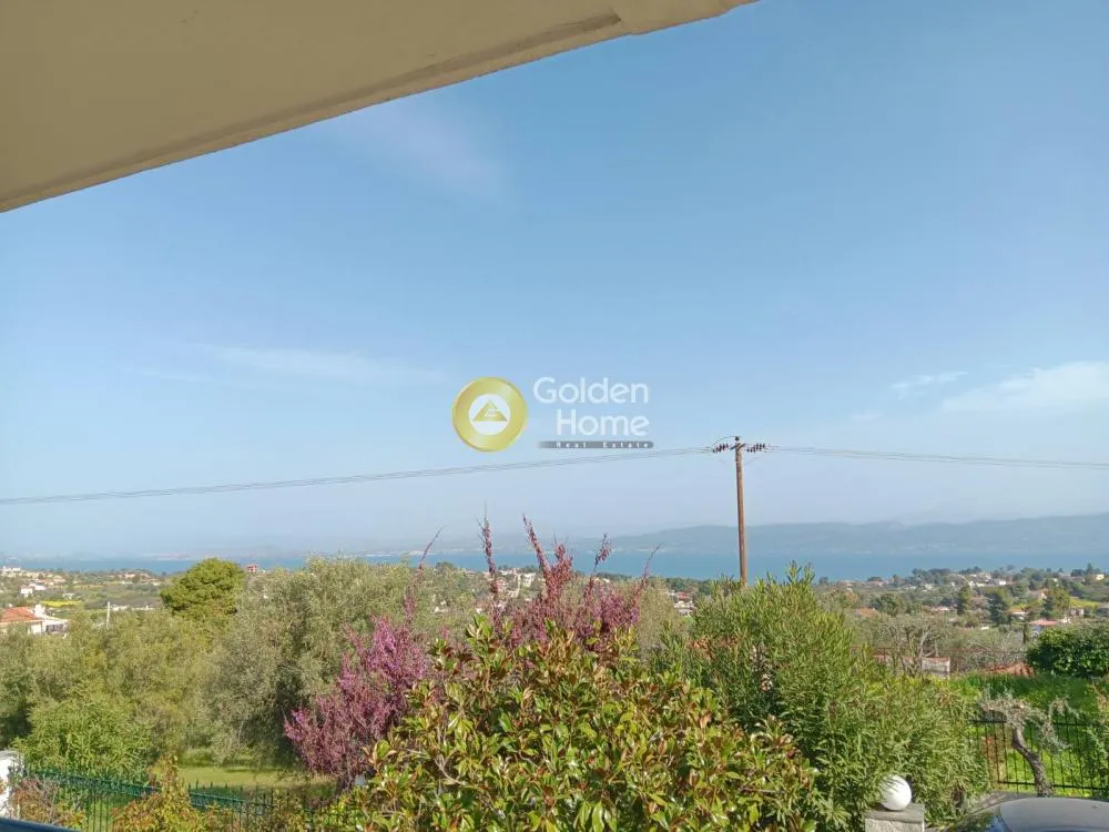 Detached house 210m²  - 2
