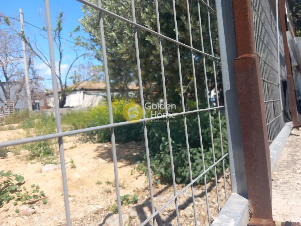 Άλλο.. 791τ.μ.  - 5