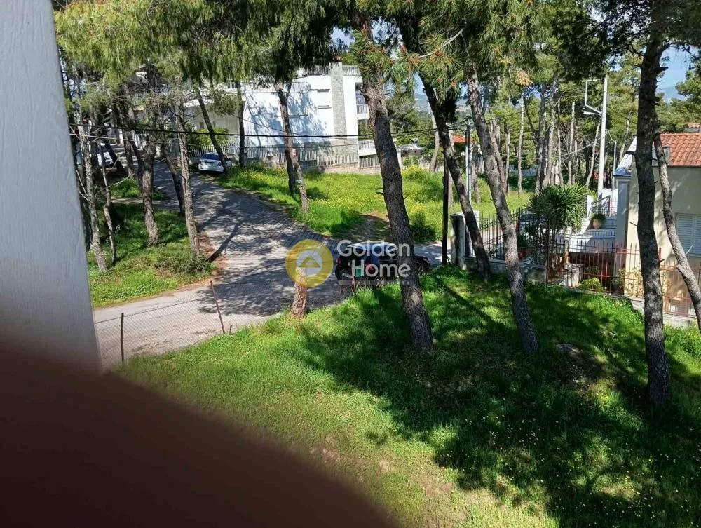 Detached house 271m²  - 2