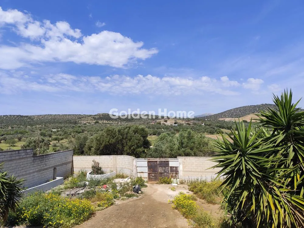 Detached house 243m²  - 3