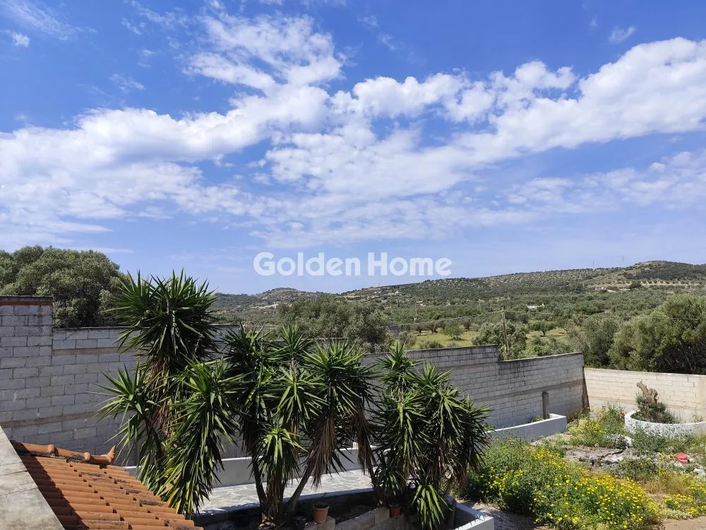 Detached house 243m²  - 4