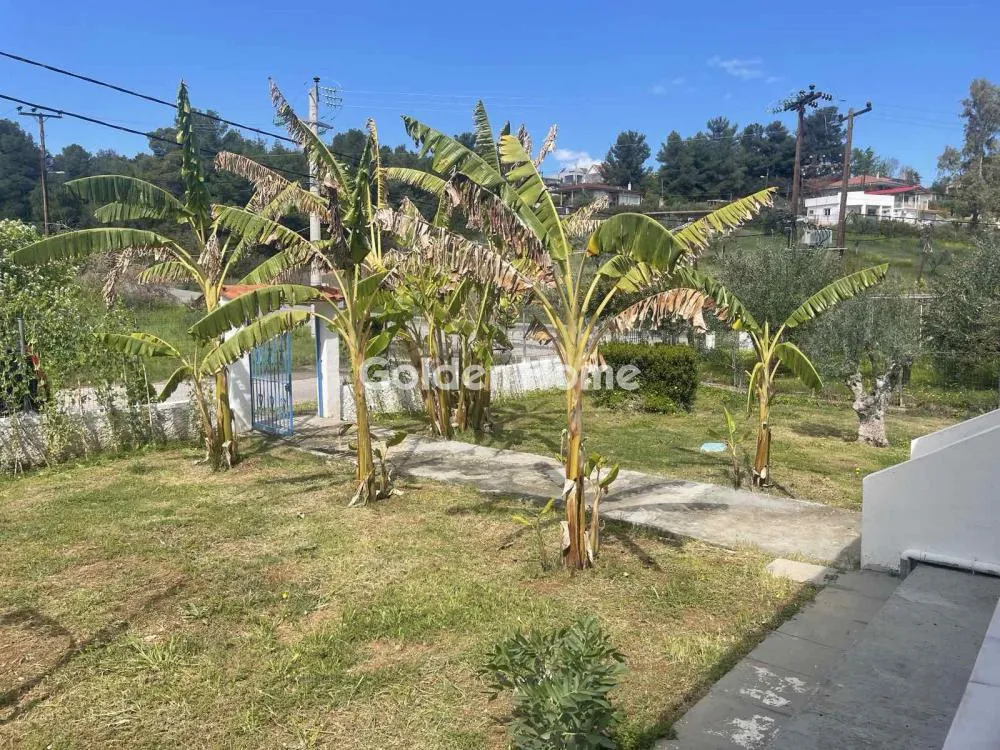 Detached house 50m²  - 2