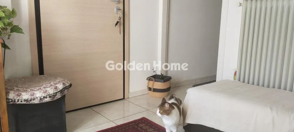 Apartment 37m²  - 2