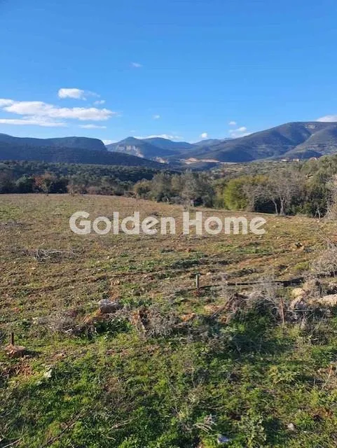 Land Parcel 80600m²  - 4
