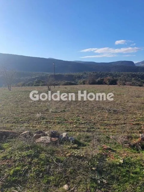 Land Parcel 80600m²  - 5