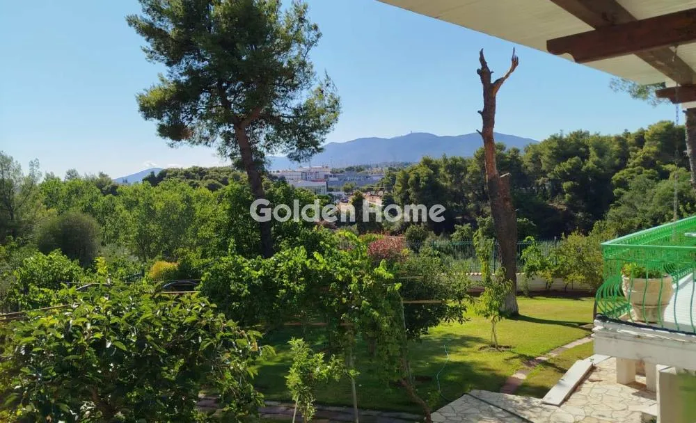 Detached house 450m²  - 2