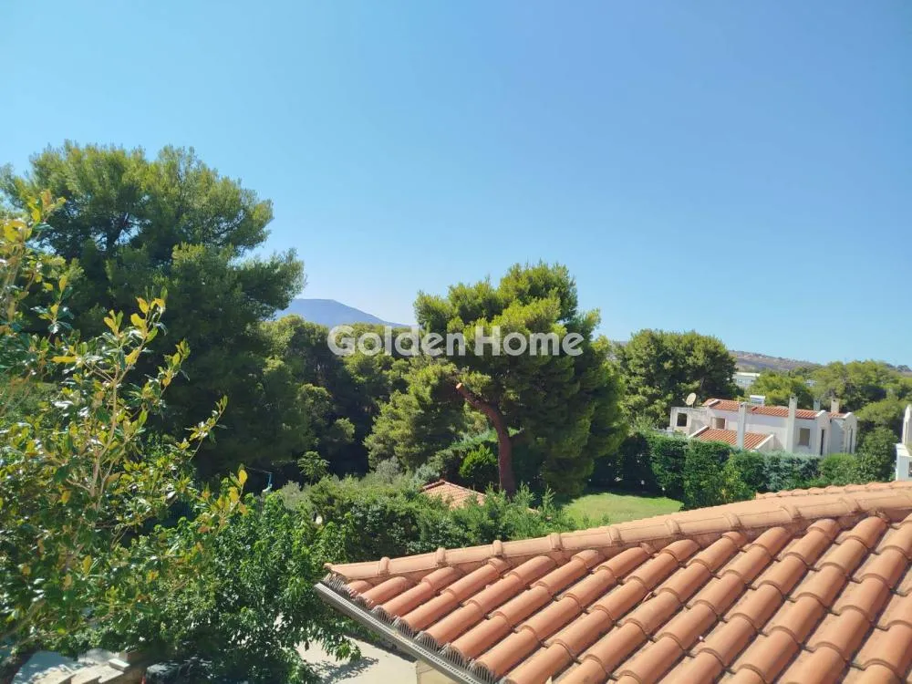 Detached house 450m²  - 3