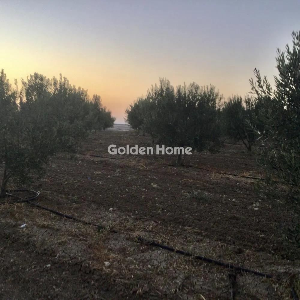 Land Parcel 34000m²  - 3