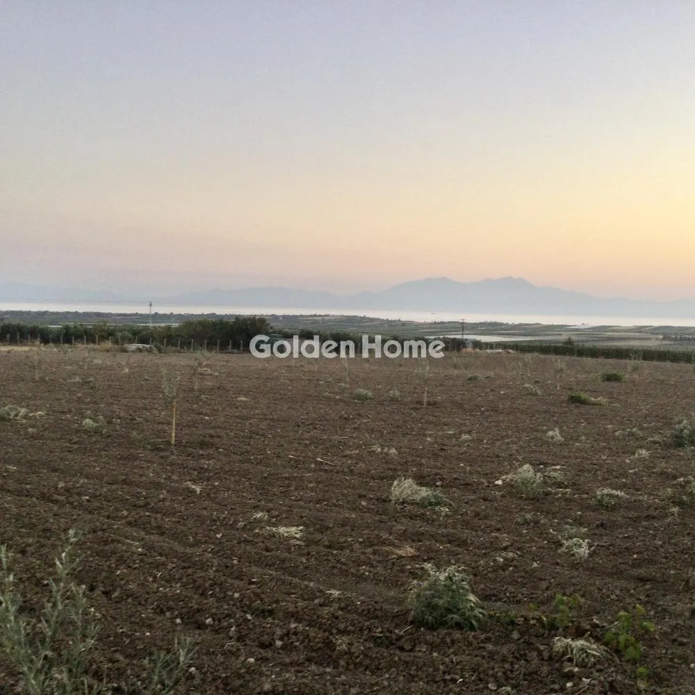 Land Parcel 34000m²  - 4