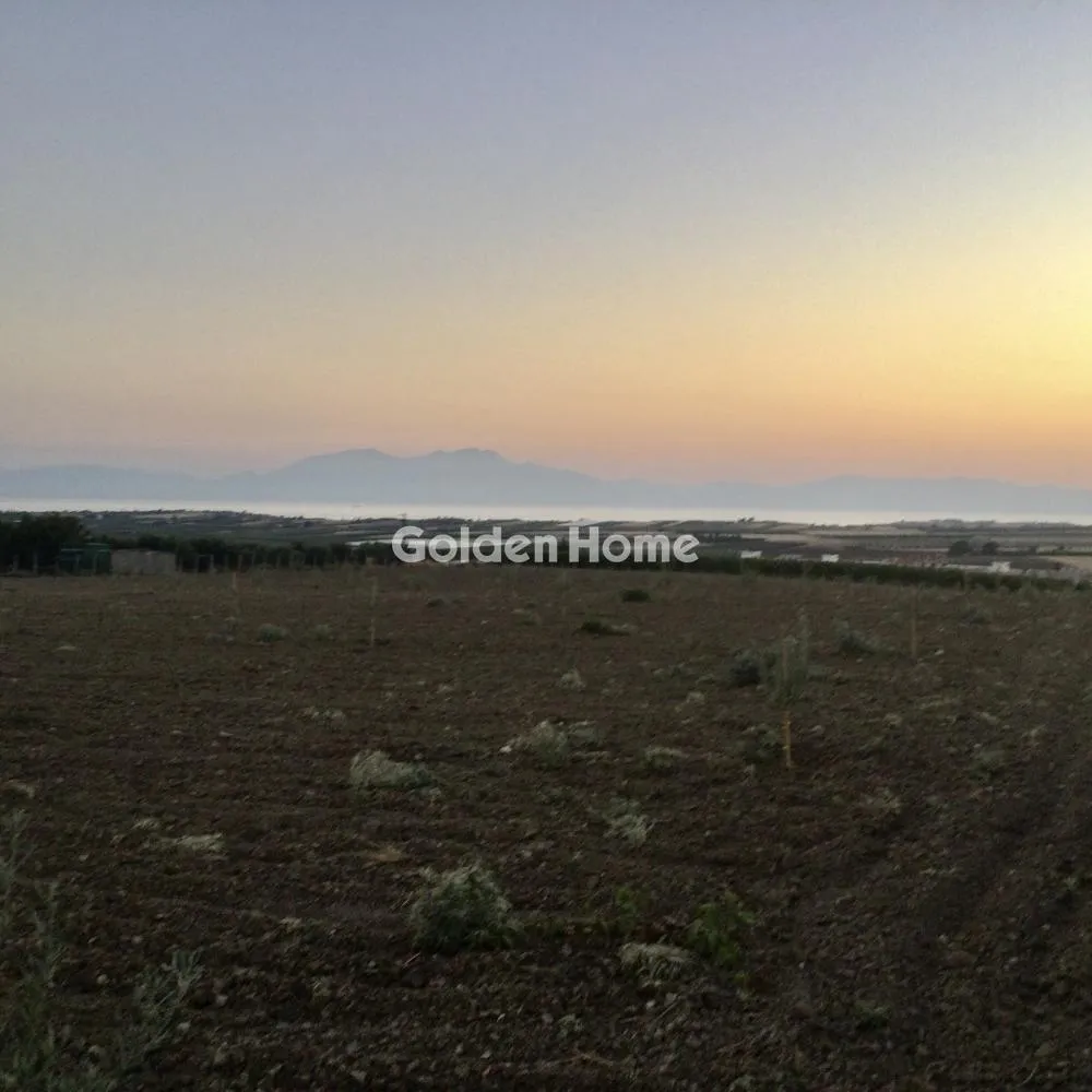 Land Parcel 34000m²  - 5