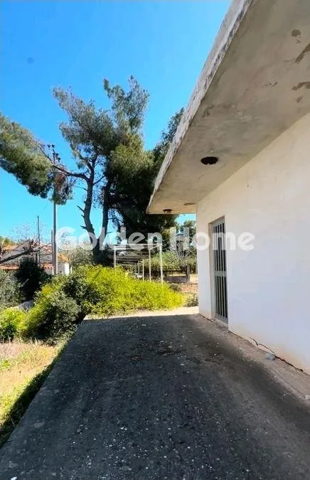 Detached house 41m²  - 2
